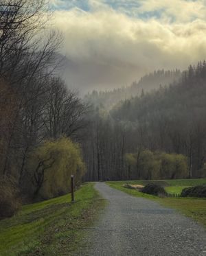 Image post by @tourismabbotsford on Instagram