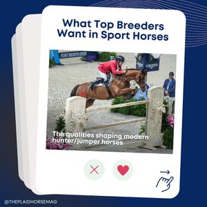 Image post by @theplaidhorsemag on Instagram