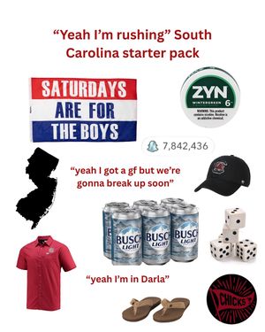 Video post by @southcarolinachicks on TikTok