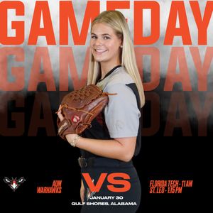 Image post by @aumwarhawkssb on Instagram