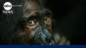 Video post by @abcnews on YouTube