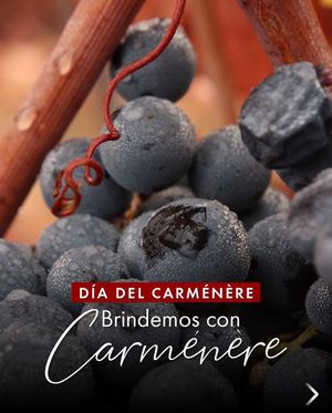 Image post by @riedelpartner_vnzla on Instagram