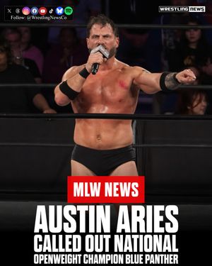Image post by @wrestlingnewsco on Instagram