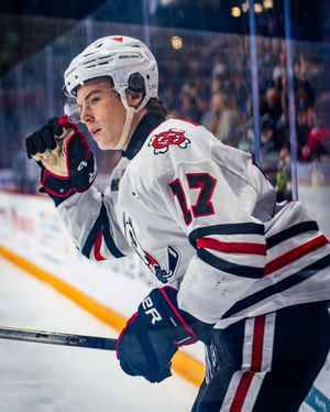 Image post by @ohlicedogs on Instagram