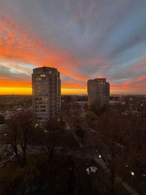 Image post by @hofstrau on Instagram