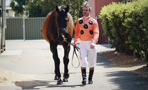Image post by @FlemingtonVRC on Twitter