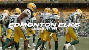 Video post by @goelks on YouTube
