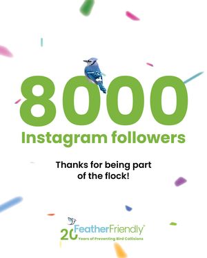 Image post by @featherfriendly on Instagram
