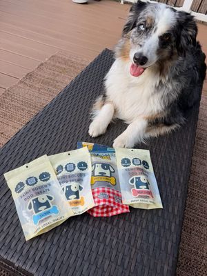 Image post by @saintroccostreats on Instagram