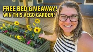 Video post by @bettertogetherlife on YouTube