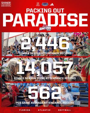 Image post by @fausoftball on Instagram