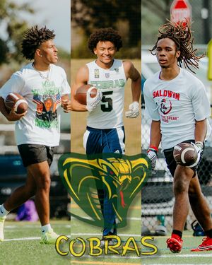 Image post by @cobras7v7 on Instagram