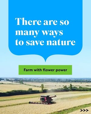 Image post by @rspb on Instagram