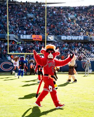 Image post by @bennythebull on Instagram