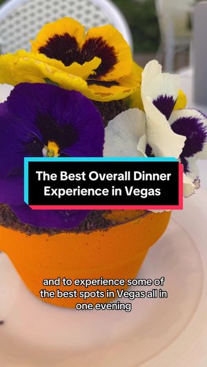 Video post by @vegasstarfish on TikTok