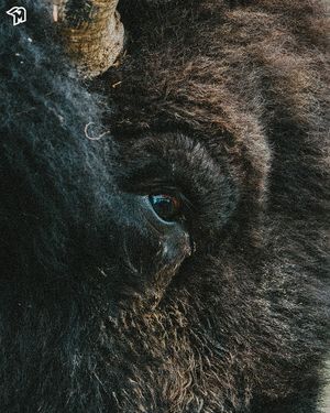 Image post by @hottotsbaseball on Instagram