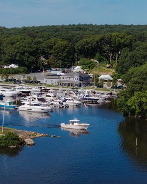 Image post by @islandcovemarinact on Instagram