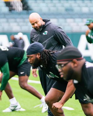 Image post by @greenwavefb on Instagram