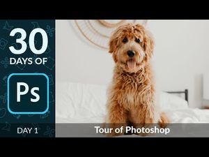 Video post by @phlearn on YouTube