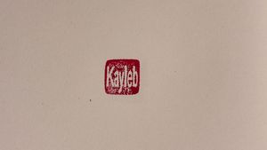 Image post by @kaylebhashbandara on Instagram