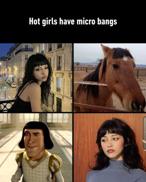 Image post by @9gag on Instagram