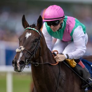 Image post by @juddmonte on Instagram