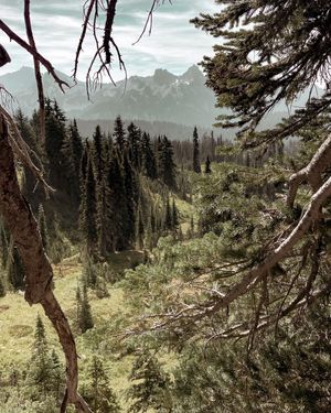 Image post by @chadthimsen on Instagram