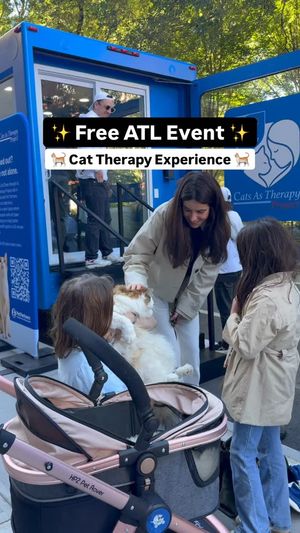 Video post by @catcatoura on Facebook