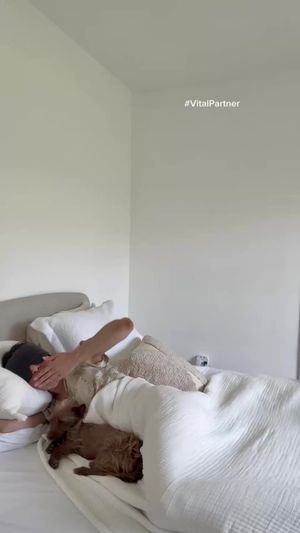 Video post by @alsaarel on TikTok