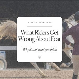 Image post by @theplaidhorsemag on Instagram