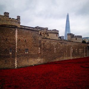 Image post by @stephen__carpenter on Instagram