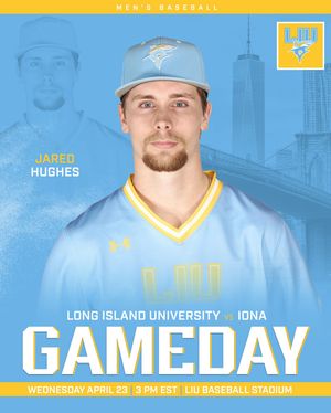 Image post by @liubaseball on Instagram