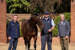 Image post by @juddmonte on Instagram