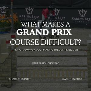 Image post by @theplaidhorsemag on Instagram