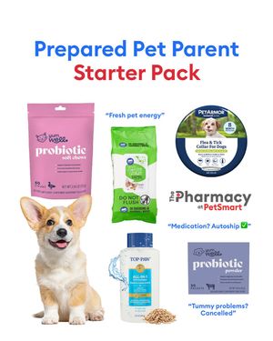Image post by @petsmart on Instagram