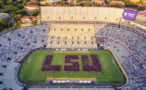 Image post by @lsu on Instagram