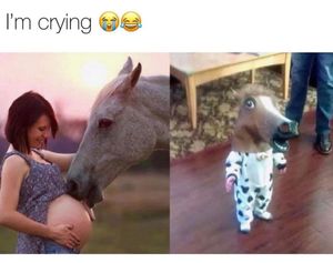 Image post by @BestWorstCantinaMedia on Facebook