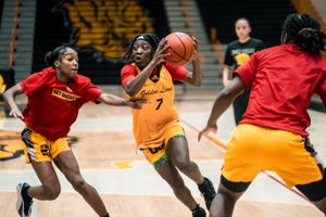 Image post by @uapblionswbb on Instagram