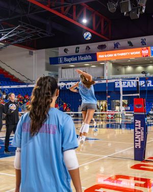 Image post by @fauvolleyball on Instagram