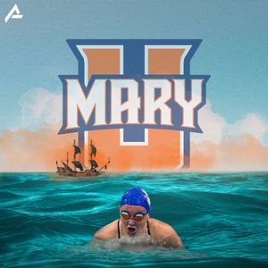 Image post by @arbaut_ on Twitter