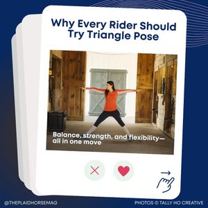 Image post by @theplaidhorsemag on Instagram