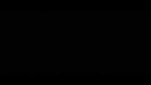 Video post by @stonybrooku on Facebook