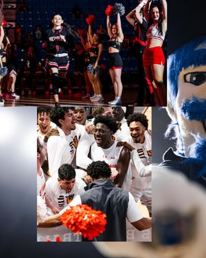 Image post by @southlandsports on Instagram