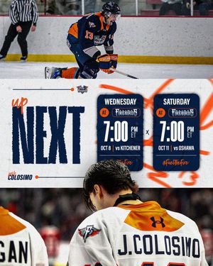 Image post by @flintfirebirds on Instagram
