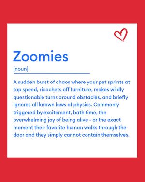 Image post by @petsmart on Instagram