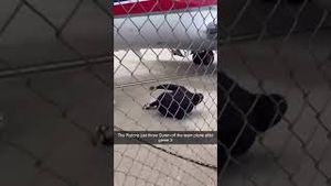 Video post by @magichourai on YouTube