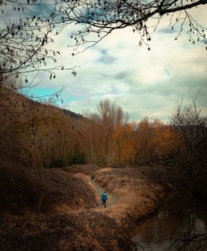 Image post by @tourismabbotsford on Instagram