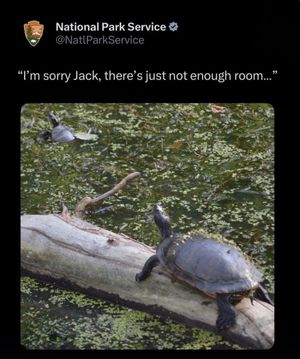 Image post by @nationalparkservice on Instagram