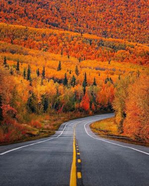 Image post by @nature88885 on Instagram