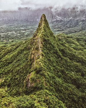 Image post by @mrethancooper on Instagram